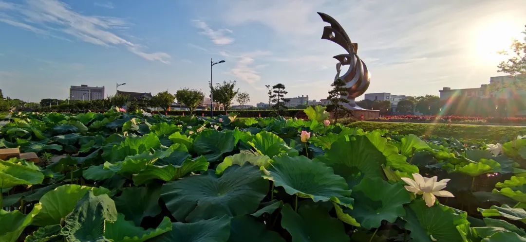 304am永利集团官网(中国)有限公司-Official Website